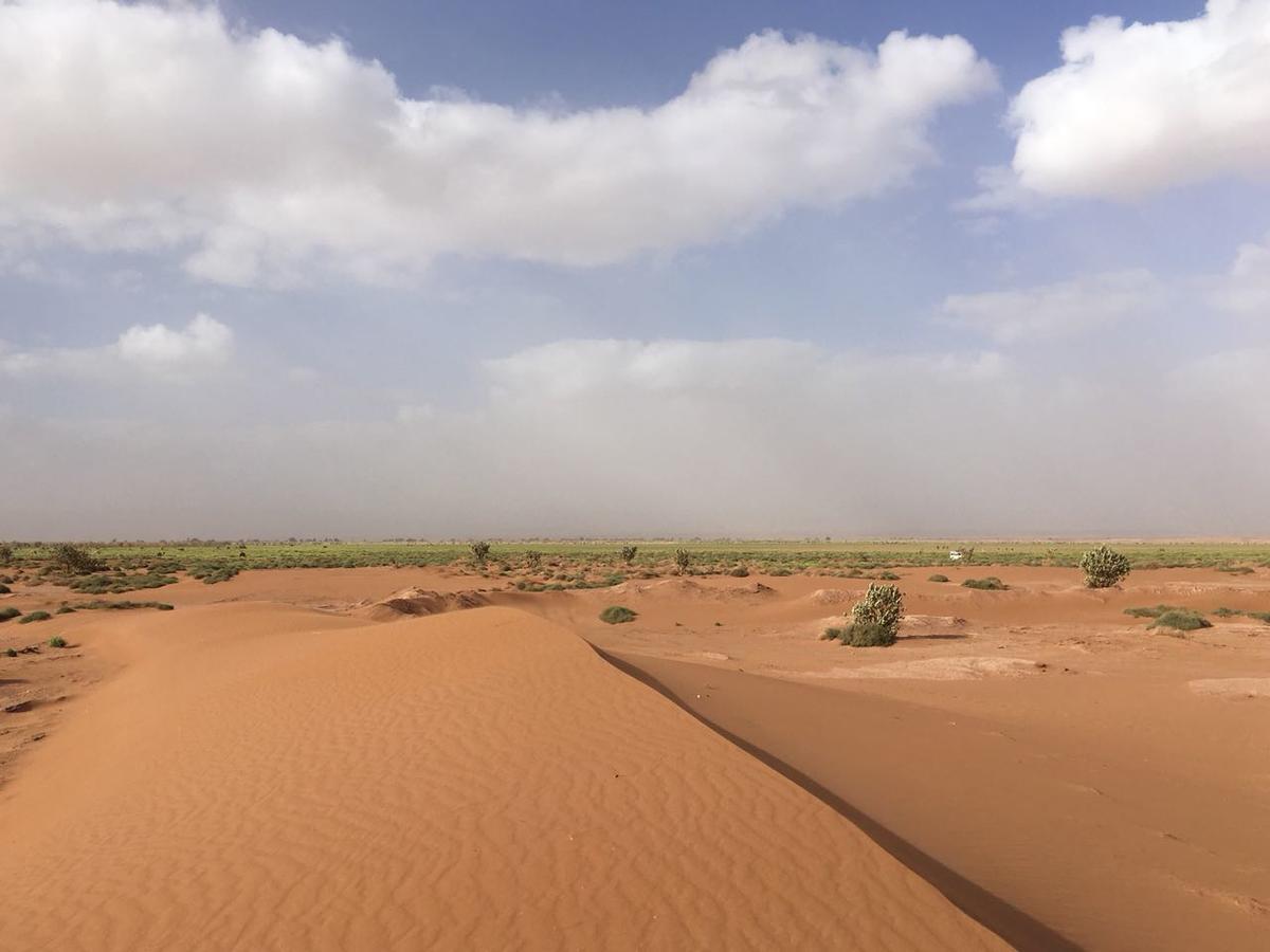 Camp Desert Stars M'Hamid Eksteriør billede