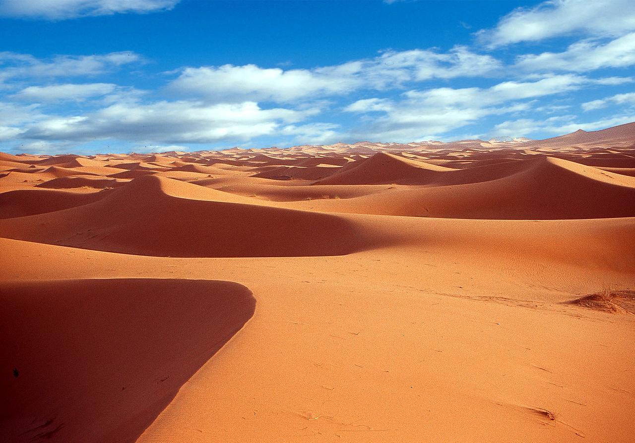 Camp Desert Stars M'Hamid Eksteriør billede